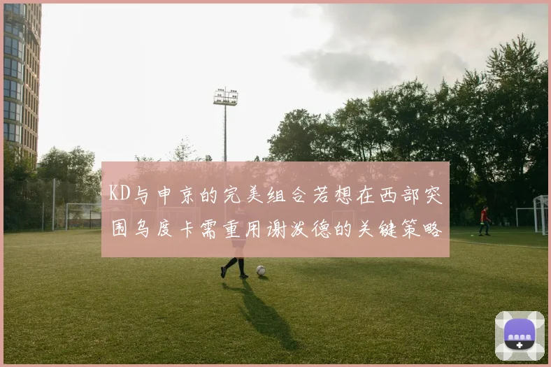 KD与申京的完美组合若想在西部突围乌度卡需重用谢泼德的关键策略